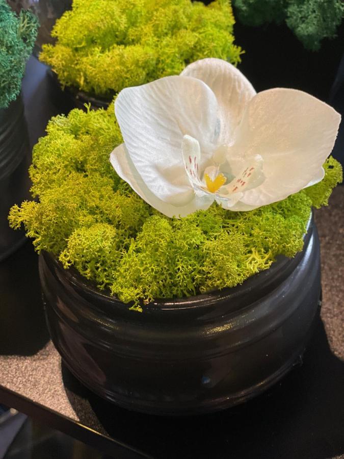 Margareta Garden Boutique Rooms إغير المظهر الخارجي الصورة